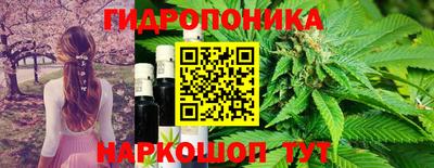 соль ск Новокубанск