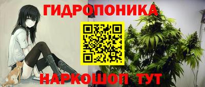 ALPHA PVP Новодвинск