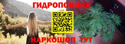 соль ск Новокубанск