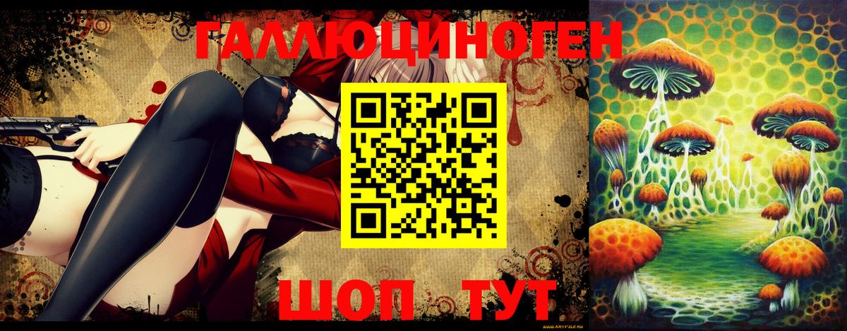 Псилоцибиновые грибы Psilocybe Соликамск