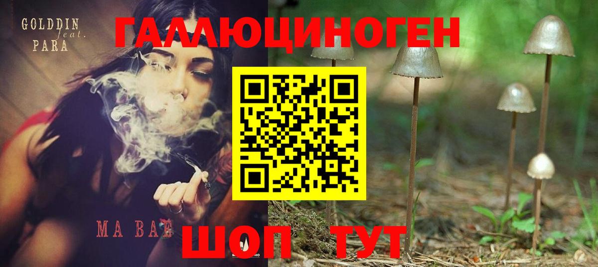 Псилоцибиновые грибы Psilocybine cubensis  Галлюциногенные грибы MAGIC MUSHROOMS  Соликамск  Вход с VPN 